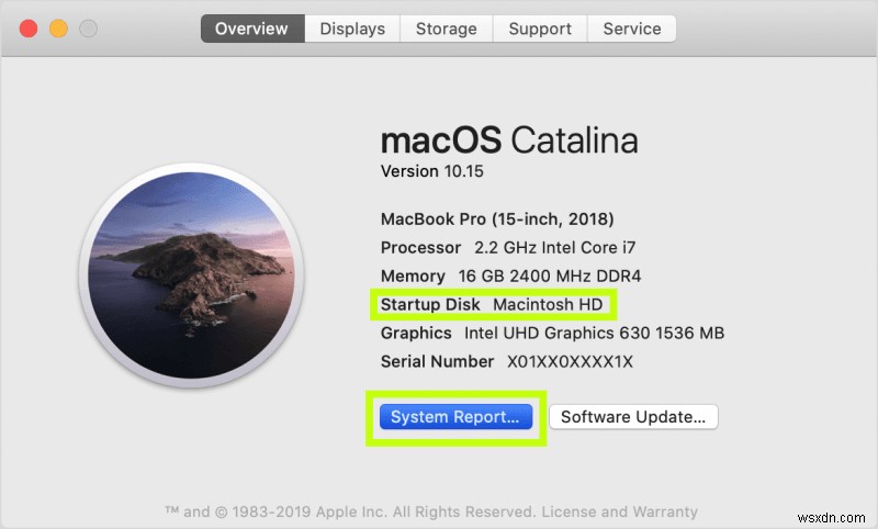 5 Essential Steps to Repair an Apple Hard Drive