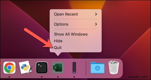 How to Force Quit Microsoft Excel on a Mac: Quick & Safe Steps