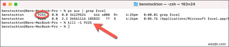 How to Force Quit Microsoft Excel on a Mac: Quick & Safe Steps