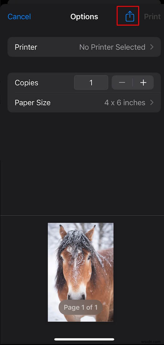 Create PDFs on Your iPhone: Quick & Easy Guide