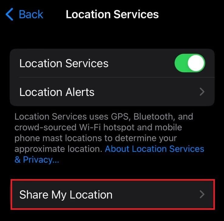 Live Location in Find My iPhone: Does It Indicate the Phone Is Being Used?