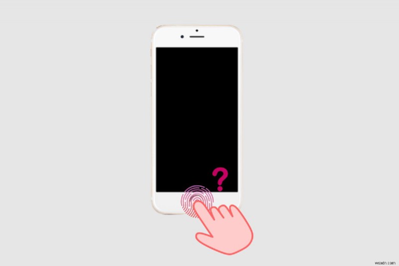 iPhone 11 and Touch ID: What You Need to Know About Fingerprint Unlocking