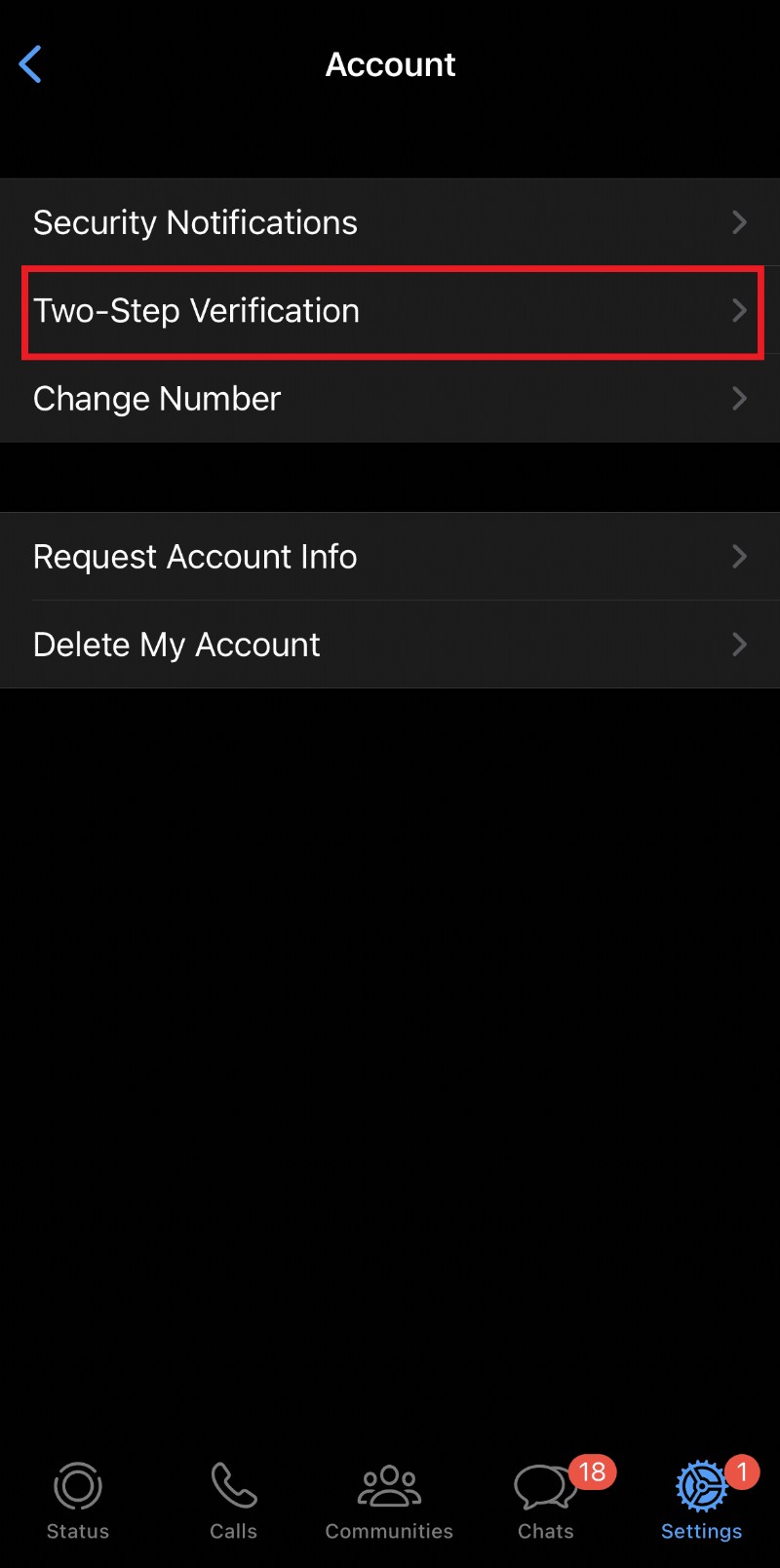 Secure Your WhatsApp: Step-by-Step Password Change on iPhone