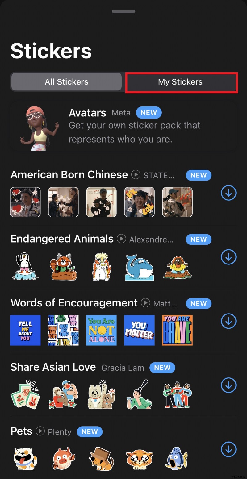 Delete WhatsApp Sticker Packs on iPhone – Step‑by‑Step Guide