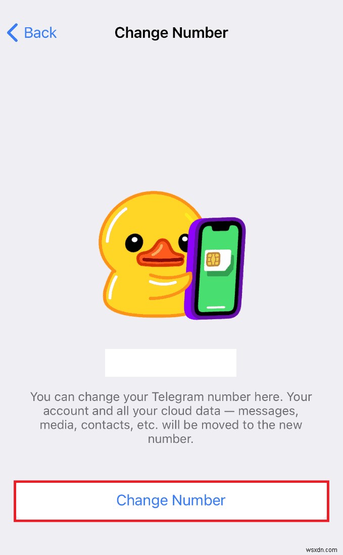 Resolve Telegram  Limit Exceeded  Error on iPhone Quickly