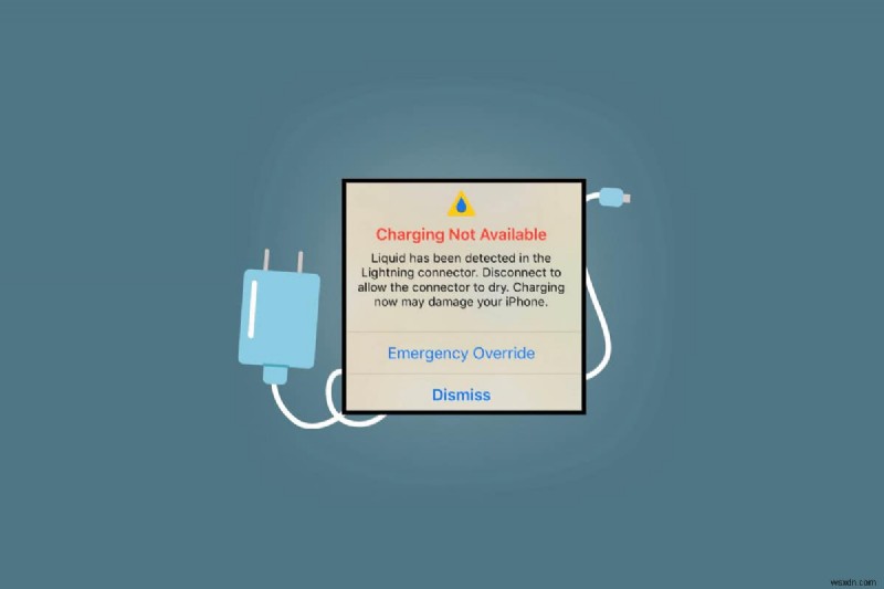 Safely Dry Your iPhone Lightning Port After a Liquid Detection Warning