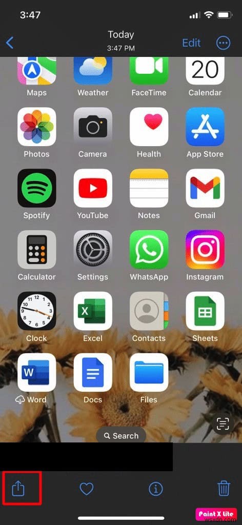 Seamlessly Transfer iPhone Photos to Your Mac – A Step-by-Step Guide