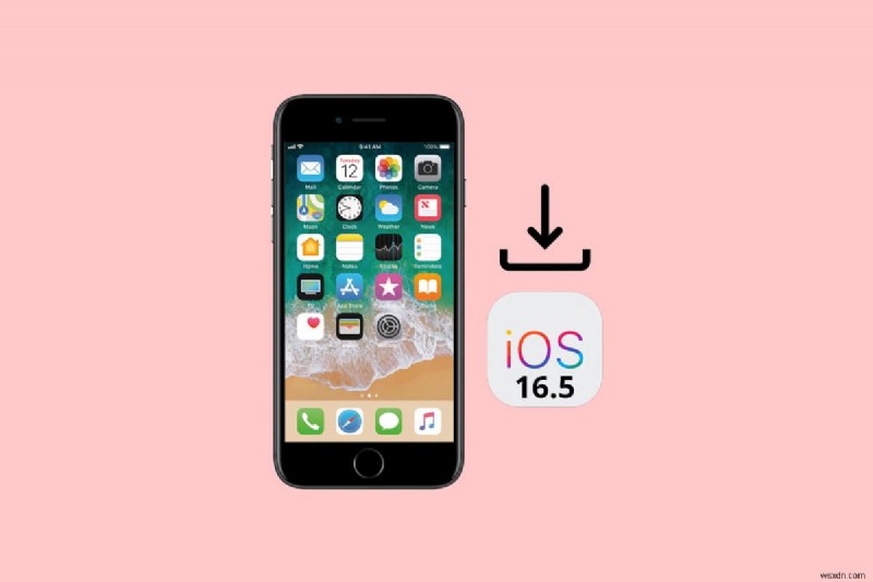 How to Safely Download and Install iOS 16.5 Beta on Your iPhone