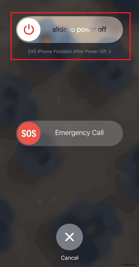 Siri Sounds Off? Quick Fixes for Muffled Voice Issues