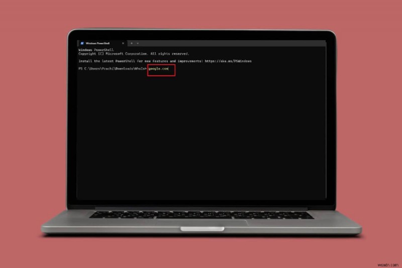 Perform WHOIS Lookups on Windows Using the Command Prompt