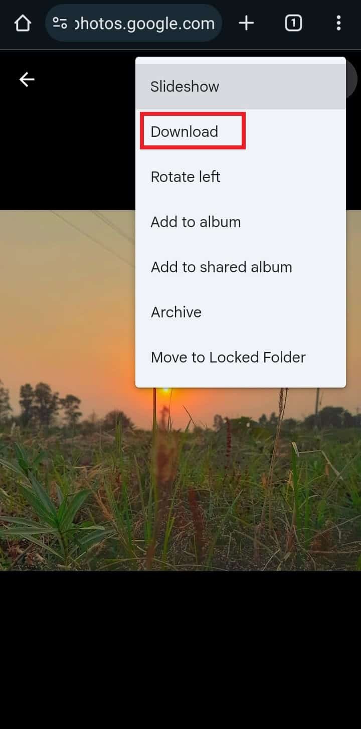 Quick Guide: Access Your Backup Photos in Google Photos