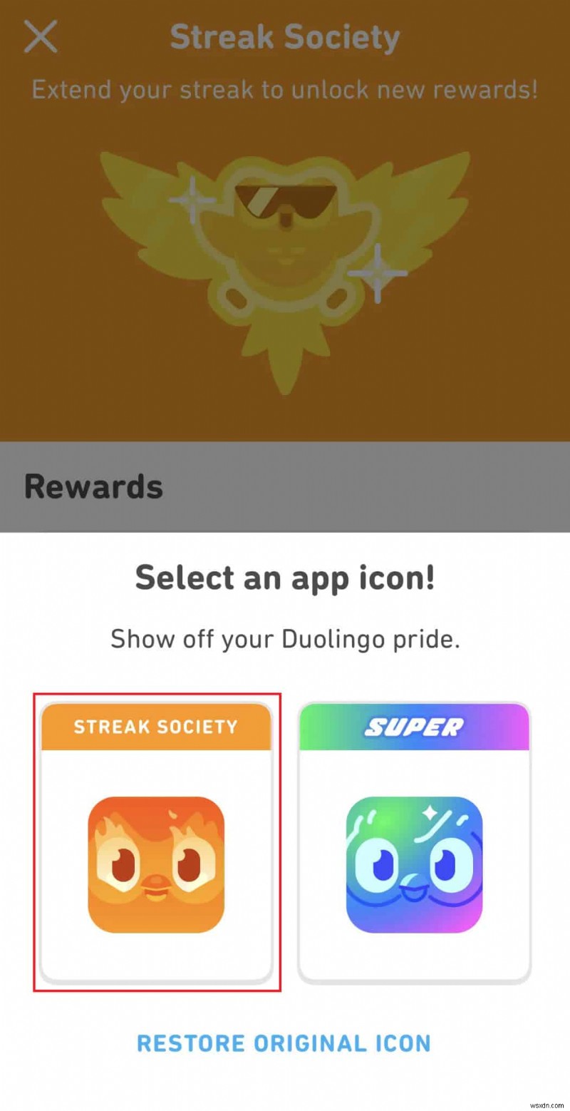 Step-by-Step Guide to Customizing the Duolingo App Icon on Android