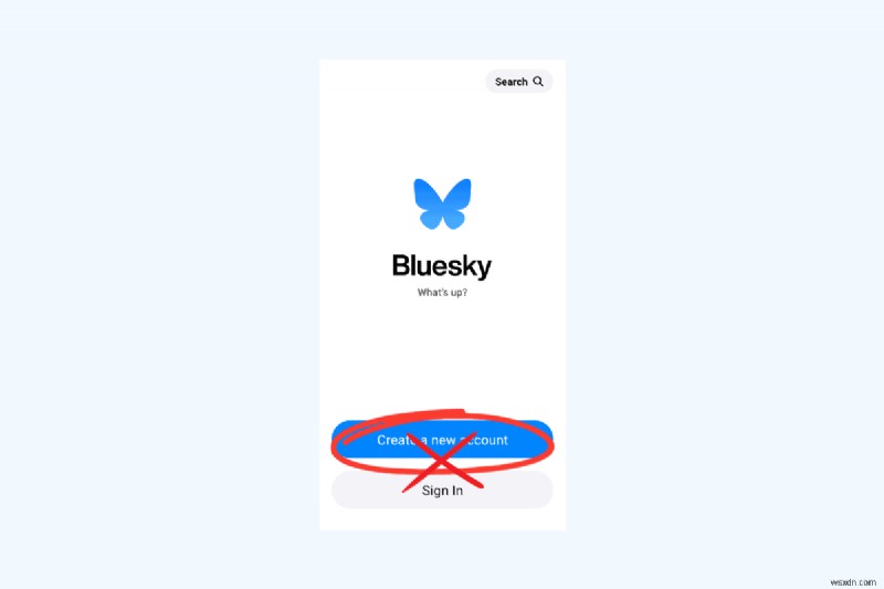 Explore Bluesky Publicly: No Login Required to Browse