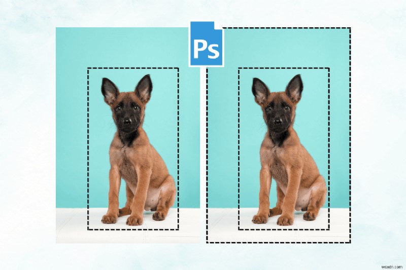 Master Photoshop Selection: 3 Proven Ways to Invert Selections With or Without Shortcuts