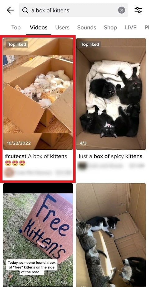 Undo TikTok Not Interested Choices: Restore Your Feed in Minutes