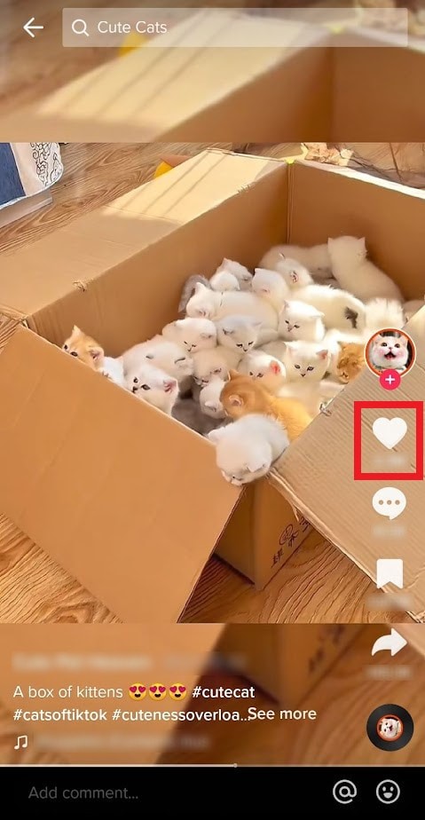 Undo TikTok Not Interested Choices: Restore Your Feed in Minutes