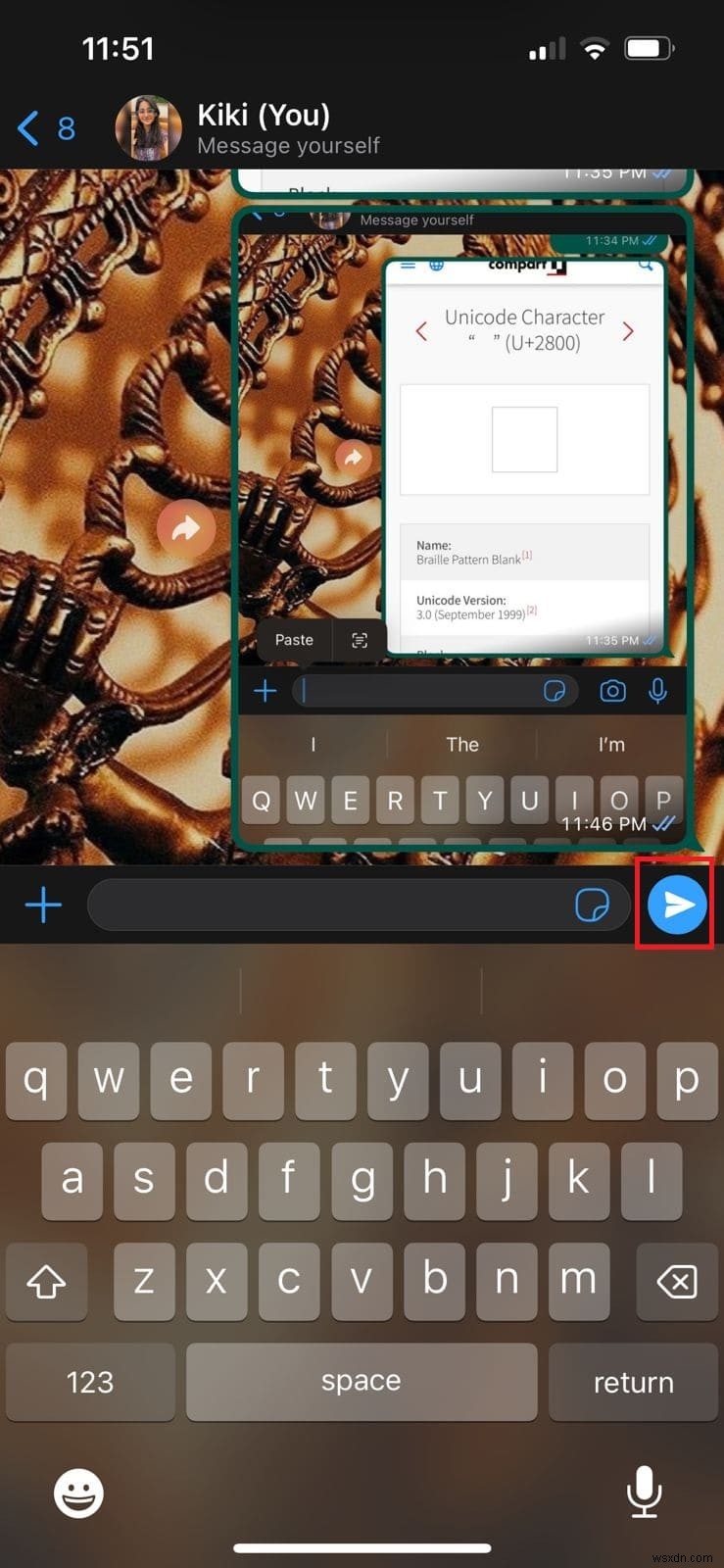 Send Blank Messages on WhatsApp iPhone: Simple Steps & Tips