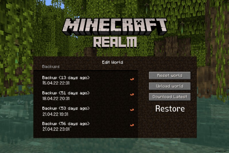Safely Backup & Restore Your Minecraft Realm – Step‑by‑Step Guide