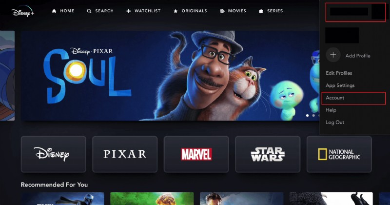 How to Quickly Remove Unauthorized Users from Your Disney Plus Account