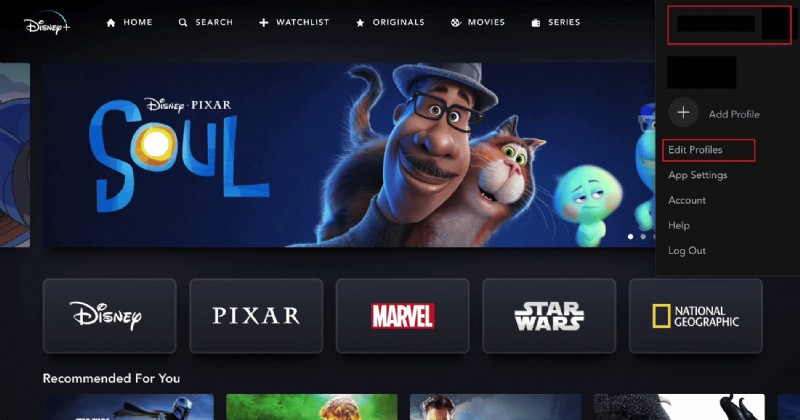 How to Quickly Remove Unauthorized Users from Your Disney Plus Account