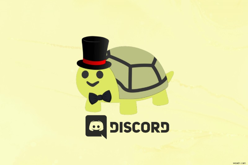 Add and Optimize Turtle Bot on Discord: Step‑by‑Step Guide
