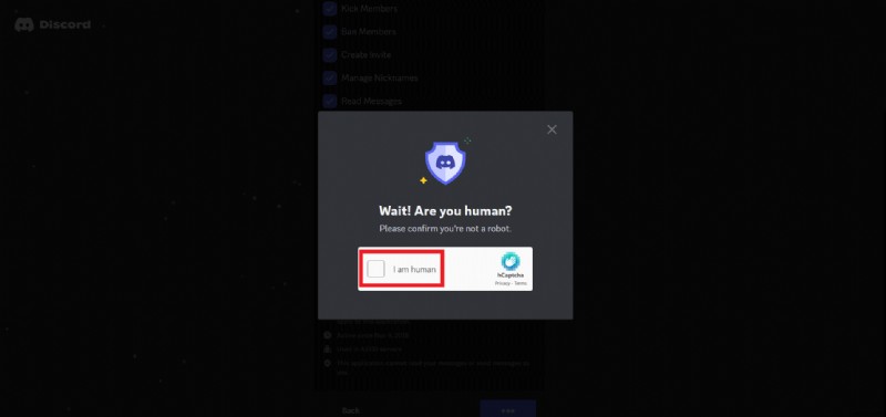 Add and Optimize Turtle Bot on Discord: Step‑by‑Step Guide
