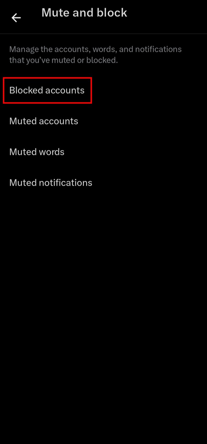 Step-by-Step Guide to Viewing and Managing Your Blocked Twitter Accounts