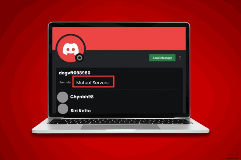 Discover Which Discord Servers a User Is In: A Step‑by‑Step Guide