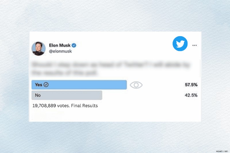 Discover Who Voted in Your Twitter Poll: A Step‑by‑Step Guide