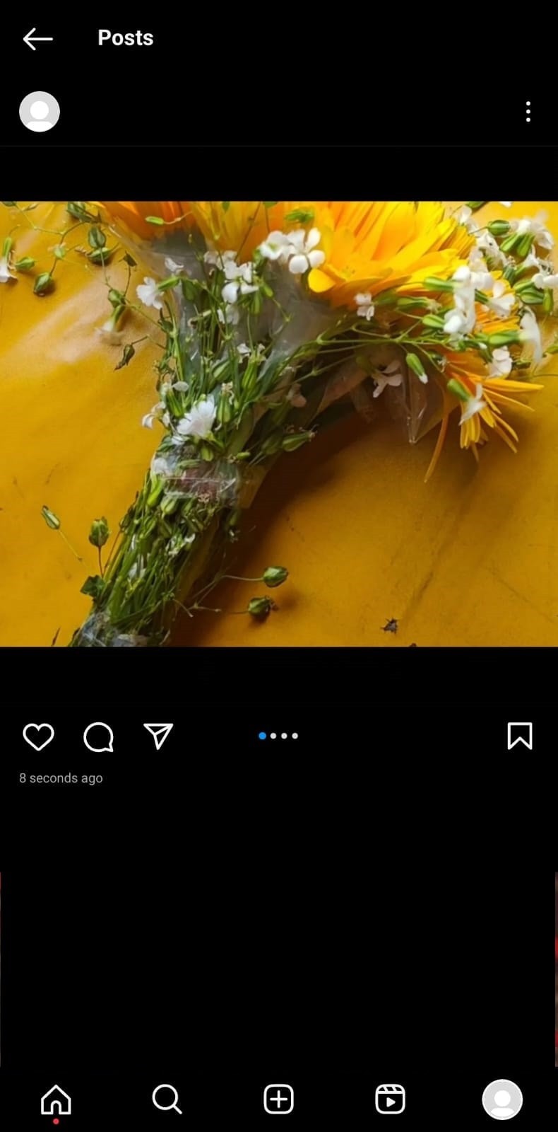 Post Both Landscape & Portrait Photos on Instagram: A Step‑by‑Step Guide