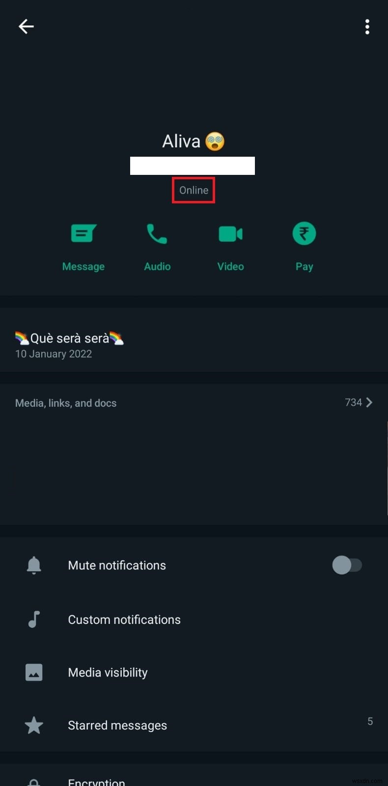 Check WhatsApp Online Status: How to See if Contacts Are Active