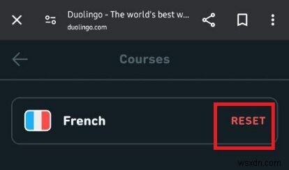Restart a Language on Duolingo Android: A Step-by-Step Guide