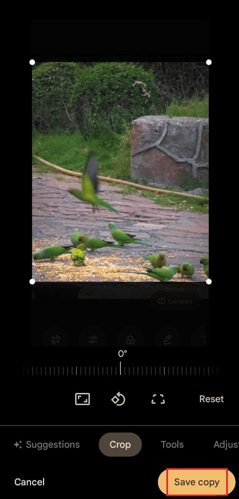 Resize Android Photos Quickly: A Step‑by‑Step Tutorial