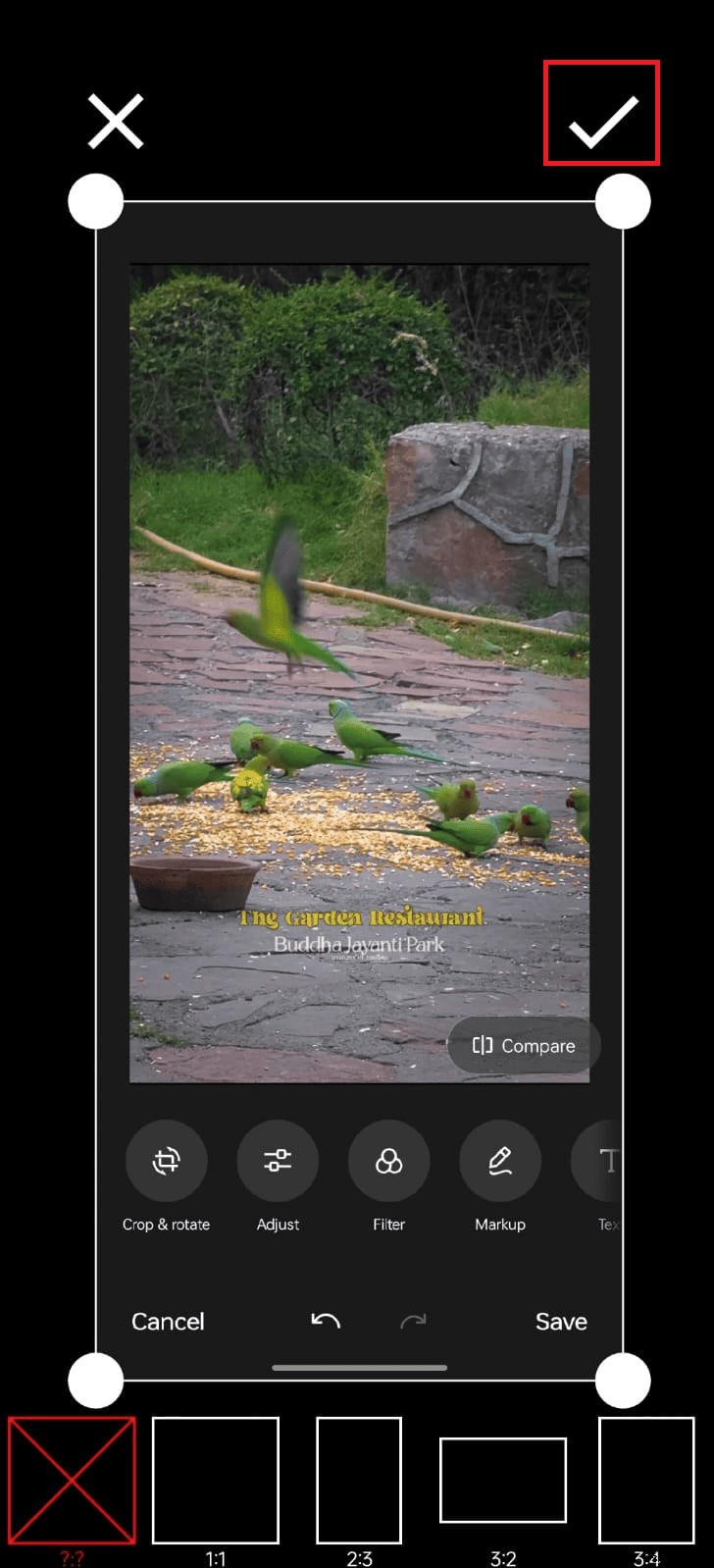 Resize Android Photos Quickly: A Step‑by‑Step Tutorial