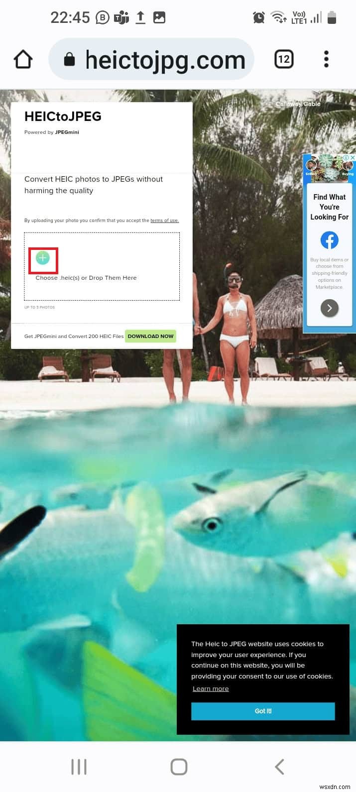 Seamlessly Convert HEIC Photos to JPG on Android – Quick & Easy Tutorial