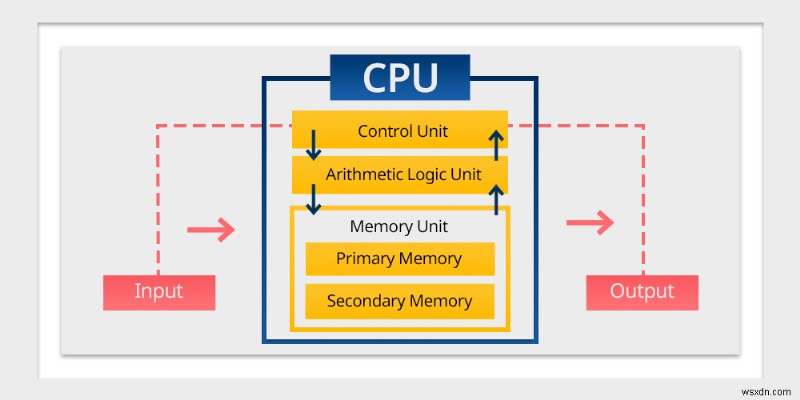 From Pixels to Predictions: How GPUs Power Modern AI