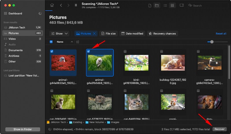 Restore Deleted Photos on Mac: 4 Proven Recovery Methods