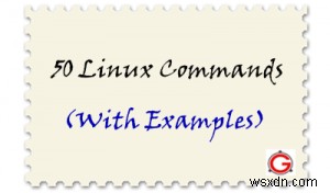 Top 50 Essential Unix Commands: A Practical Guide