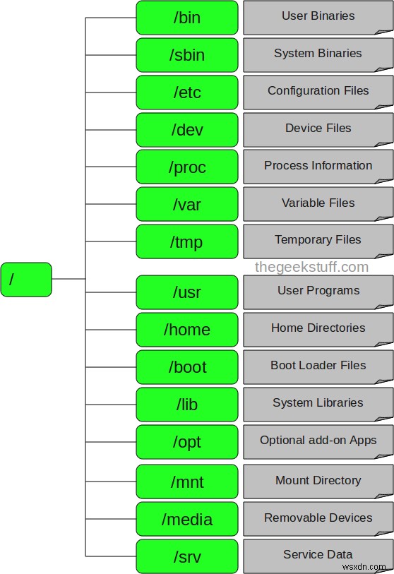 Master Linux File System: Understanding /bin, /usr/bin, /sbin and More