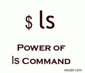 15 Practical Examples of the Unix  ls  Command for Efficient File Management