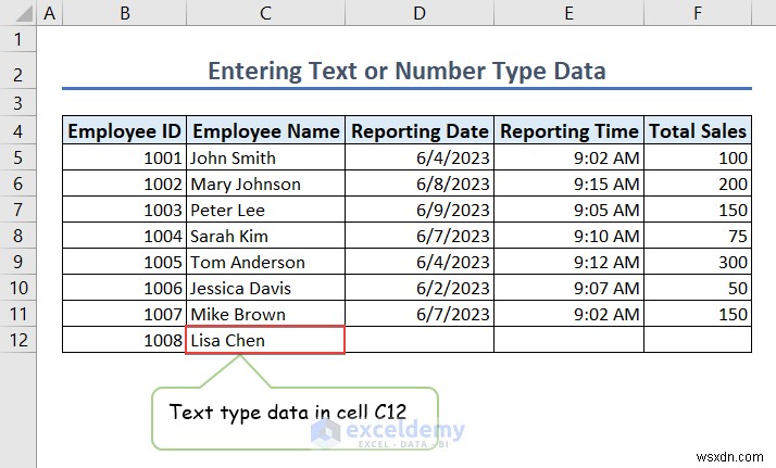 Master Excel Data Entry: Basics, Forms & Error Handling