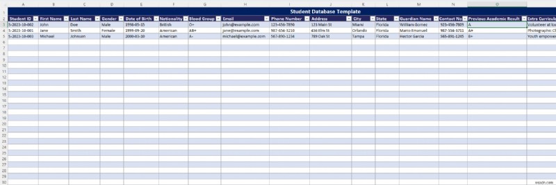 Master Excel Databases: Types, Templates & Easy Creation
