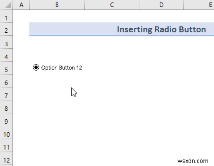 Add Radio Buttons in Excel Without Macros: Insert, Copy, Group & Delete Guide