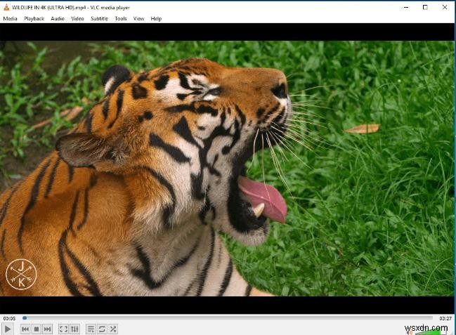 Top 5 Video Players for Chromebook in 2023 – Stream, Subtitle, and Format Support