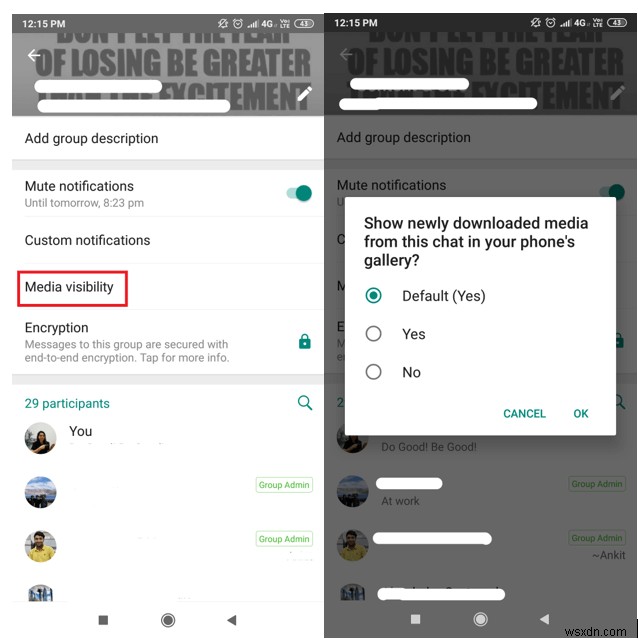 Disable WhatsApp Auto‑Save: Simple Steps to Keep Your Gallery Organized