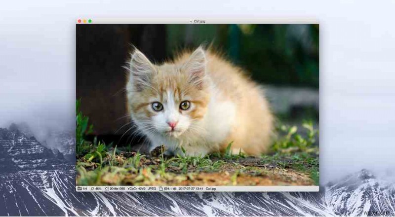 Top 10 Must‑Have Image Viewers for Mac in 2023