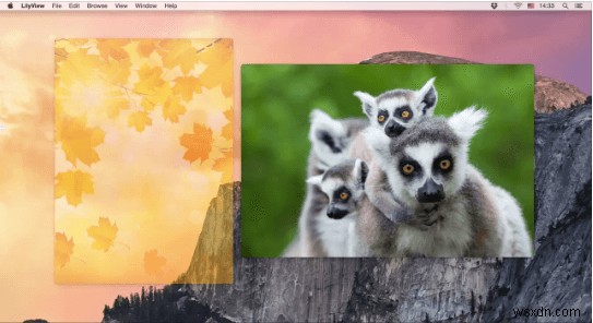 Top 10 Must‑Have Image Viewers for Mac in 2023