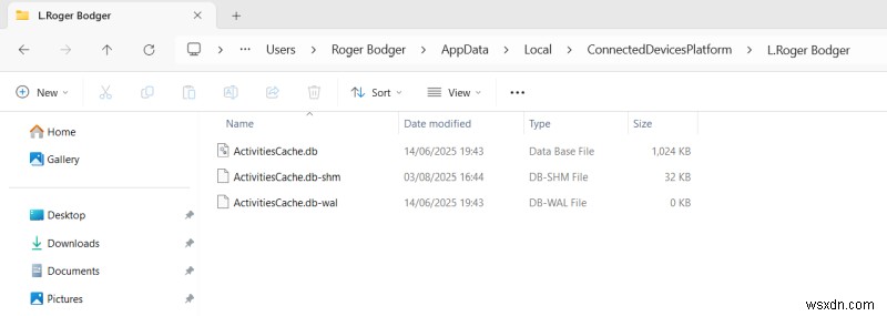 Windows & Connected Devices Platform: Seamless Integration & Advanced Features