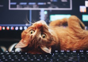 How to Use the Linux Cat Command