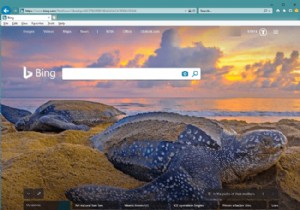 How to Display the Menu Bar in Internet Explorer
